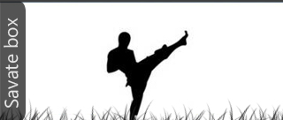 savate